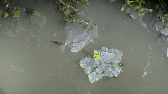 Szambo wypływa „spod ziemi”?