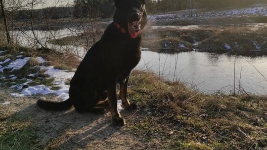 Szczęśliwy finał. Nador odnalazł 81-latka. 