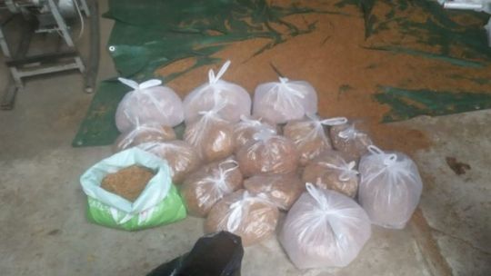 Szydłowiec. Policjanci zabezpieczyli ponad 40 kg nielegalnego tytoniu