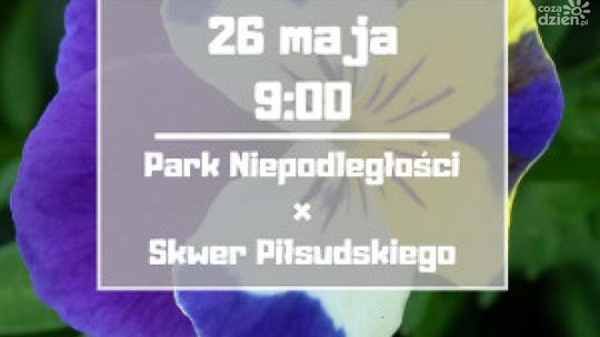 Szydłowiec. Wspólne sadzenie kwiatów już w sobotę