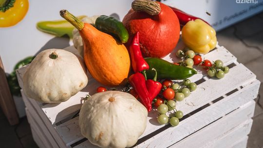 Szydłowieckie targi rolne. Co w programie?