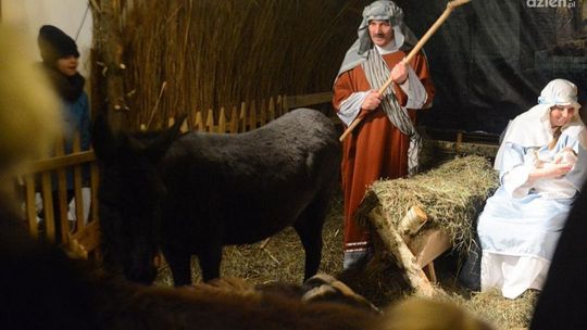 Tak wyglądała żywa szopka