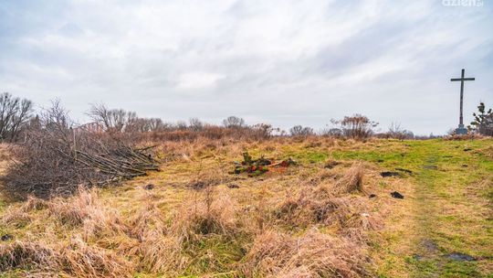 Taki piękny park...