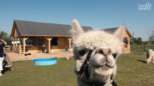 Te miejsca musisz odwiedzić