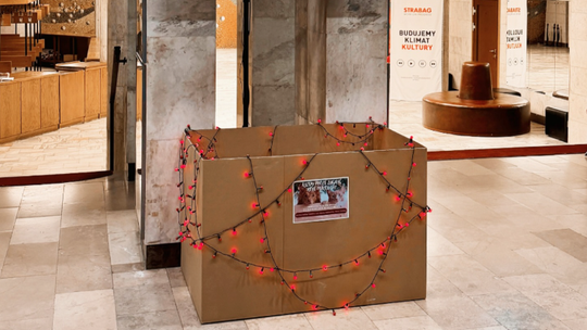 Teatr ze wsparciem dla schroniska. Trwa zbiórka produktów dla bezdomnych zwierząt