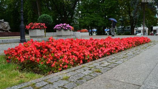 Tego jeszcze nie było! Festiwal Ogrodów już w ten weekend