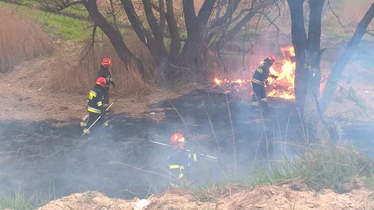 Ten miesiąc to przekleństwo dla strażaków. Stop wypalaniu traw! Pożary traw