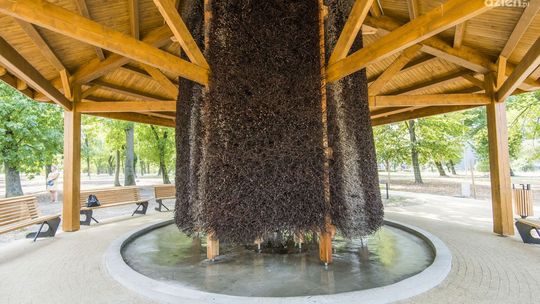 Tężnia solankowa na Obozisku już działa