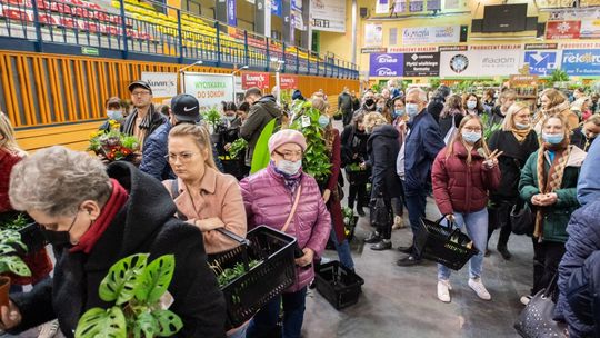 Tłumy na festiwalu roślin