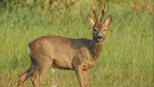 To była piękna niedziela! Czekamy na zdjęcia!