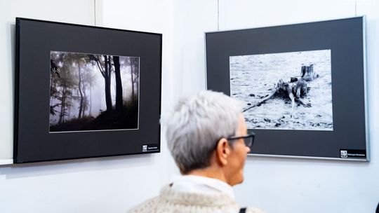 To, co niekiedy umyka oczom. RTF prezentuje doroczną wystawę 