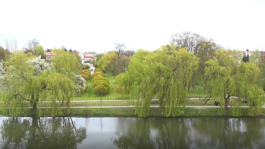 To miasto w regionie nazywają "Mazowieckim Kazimierzem". Ma 20 hektarów zieleni a będzie więcej!