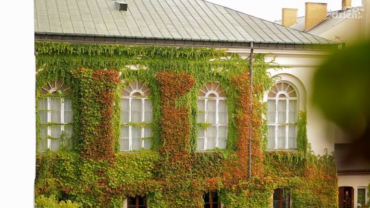 To może być zielony azyl 