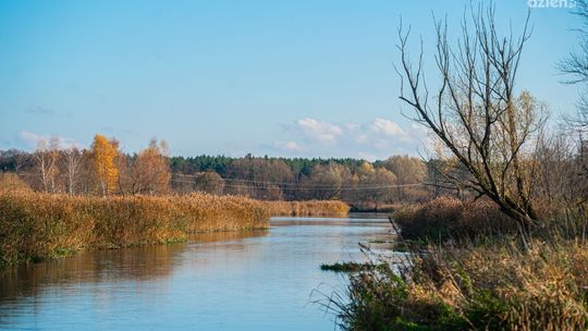 Tomczyce. Zwłoki wędkarza w Pilicy