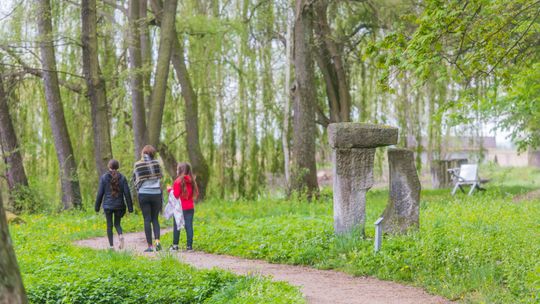 TOP 10 atrakcji przy trasie S7. Gdzie warto zjechać na przerwę między Grójcem a Szydłowcem?