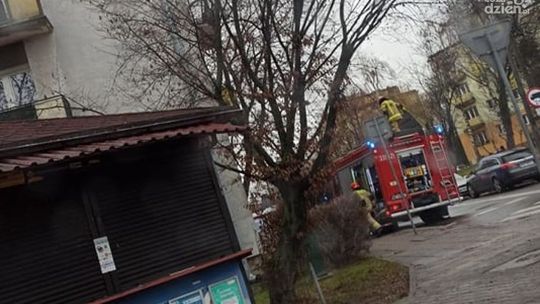 Tragiczny pożar na ul. Sportowej