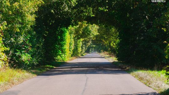 Trasa wyprawy Co Za Jazda! do Rzeczniowa [zdjęcia]