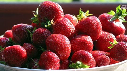 Truskawki na bezsenność i nadwagę. Zobacz przepis!