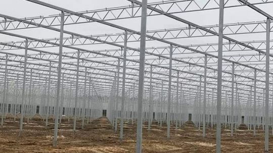 Trwa budowa szklarni pomidorów w Ryczywole. Pracę znajdzie tu ok. 300 osób