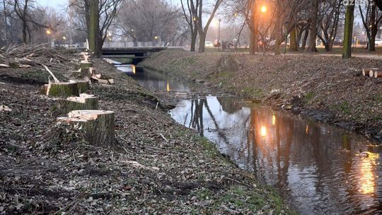 Trwa rewitalizacja Leśniczówki i Starego Ogrodu