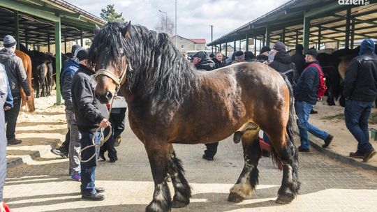 Trwają Wstępy w Skaryszewie
