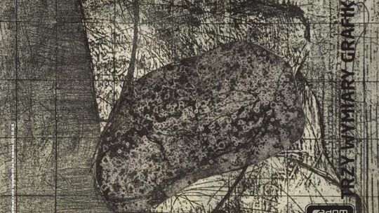 TRZY WYMIARY GRAFIKI W ŁAŹNI