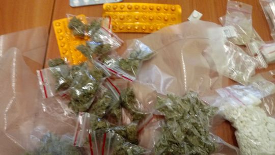 Trzymiesięczny areszt dla 20-latki za handel narkotykami 