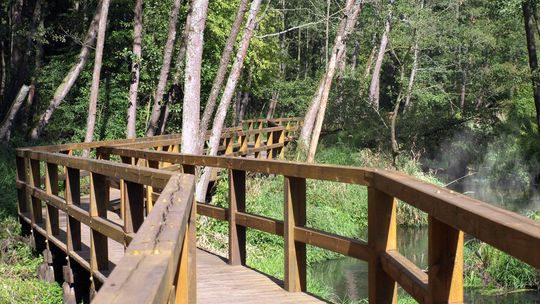 Turyści z Radomia i okolic uwielbiają to miejsce. Odpoczywać miał tu król Władysław Jagiełło