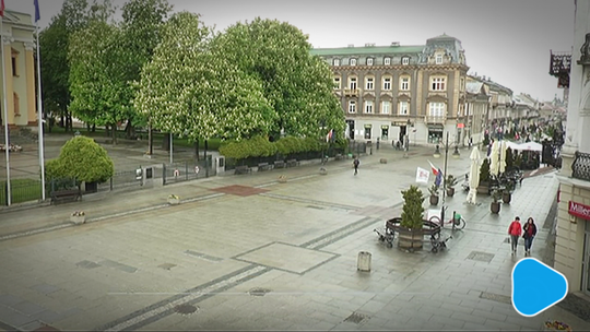 TV DAMI INFORMACJE - wydanie z 10 maja