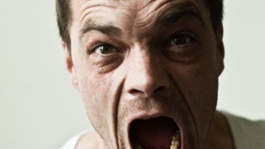 "Ty k...o!" czyli sąsiad cham