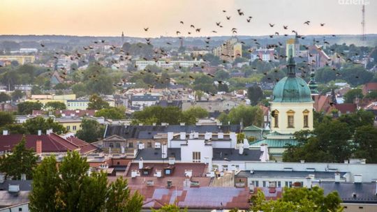 Ubywa mieszkańców. Pesymistyczna prognoza