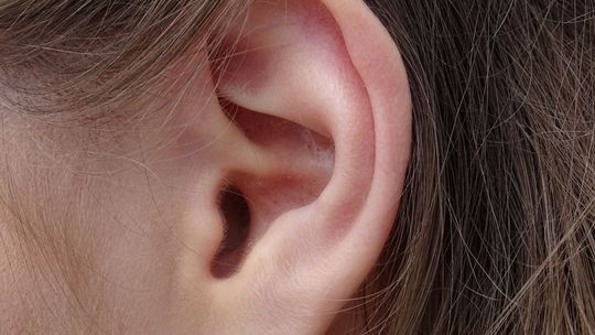 Ucho środkowe – czym jest i dlaczego boli? Ucho środkowe – czym jest i dlaczego boli?