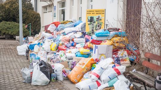 Udana zbiórka dla zwierząt. Radomianie mają duże, szczodre serca