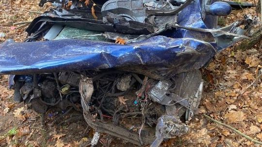 Uderzyła w drzewo i dachowała