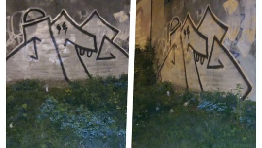 Ujęto sprawcę niszczenia elewacji