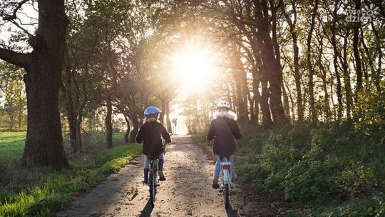 Urazy rowerzystów - jak im zapobiegać?