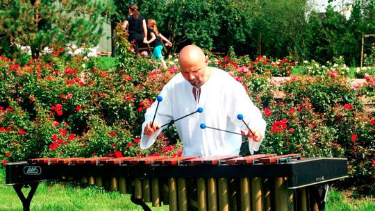 Usłysz to w Magicznych Ogrodach!