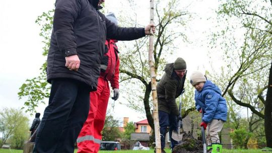 Ustronie: Posadzili drzewa – kontynuowali dzieło Pawła Śpiewaka