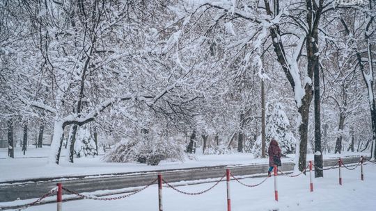 Uwaga! Będzie ślisko!
