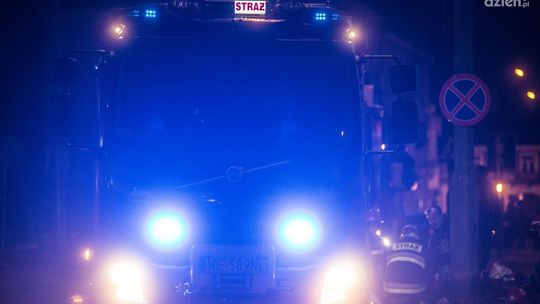 UWAGA! Łosie na drodze. Kolizja dwóch samochodów