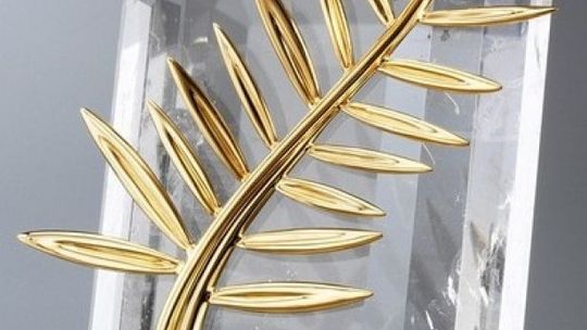 W Cannes docenili "Miłość"