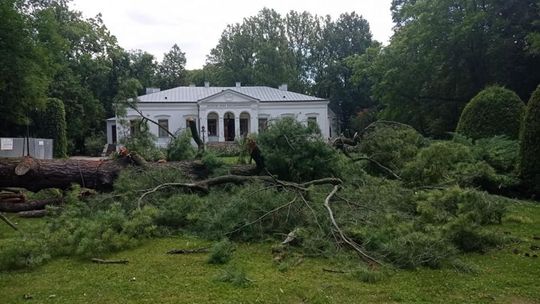 W Czarnolesie runęła dwustuletnia wejmutka