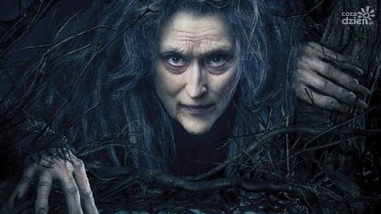 W Kinie Konesera "Tajemnice lasu" - WYNIKI