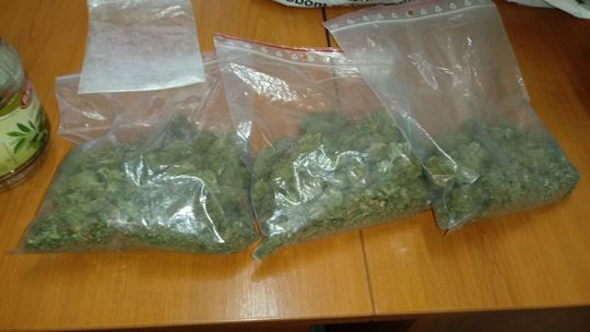 W mieszkaniu miał kilkaset gramów marihuany