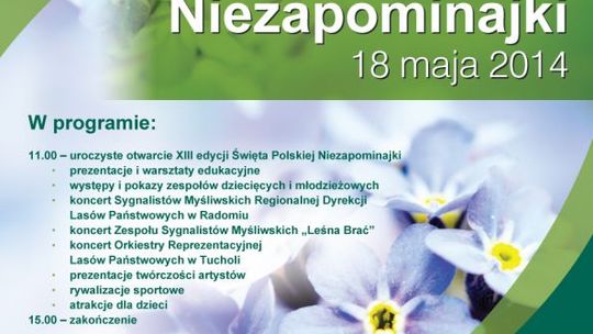 W niedzielę Święto Polskiej Niezapominajki