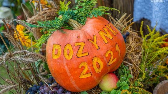 W niedzielę szydłowieckie dożynki. Wystąpią zespoły ludowe