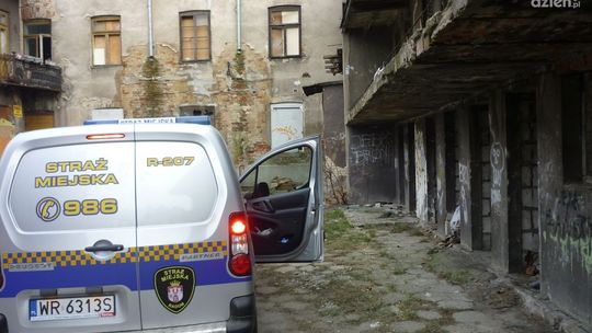 W Radomiu coraz czyściej!