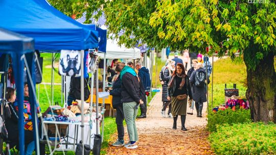 W Radomiu odbyły się targi sztuki [wideo]