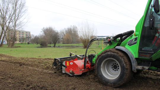 W Radomiu powstaną kolejne łąki kwietne