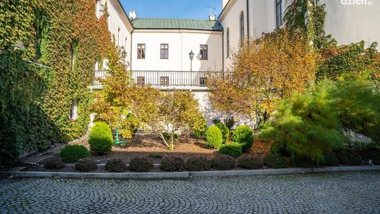  W Radomiu powstanie miniogród botaniczny